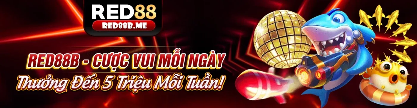 Hỗ trợ toàn diện